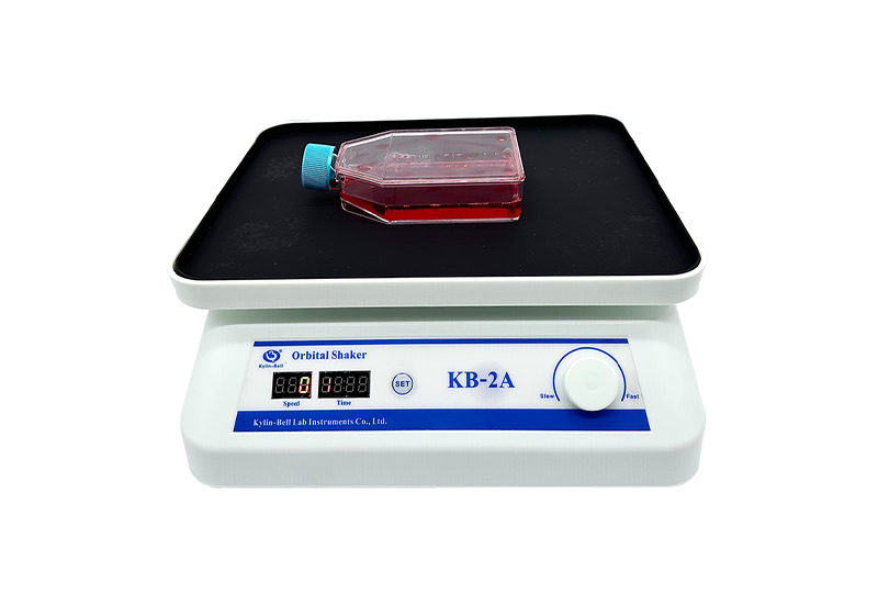 1723689332987897.jpg 283c6efd-72a2-400d-86a3-e00836e30cc7.jpg